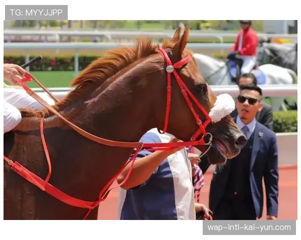 大众健身赛事运营体系正从单一管理迈向多方协同治理新阶段
