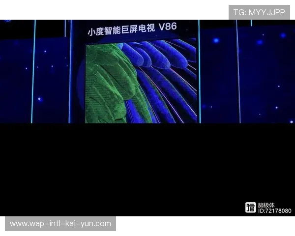 从单一画面分发转向全场景服务 满足差异化收视偏好